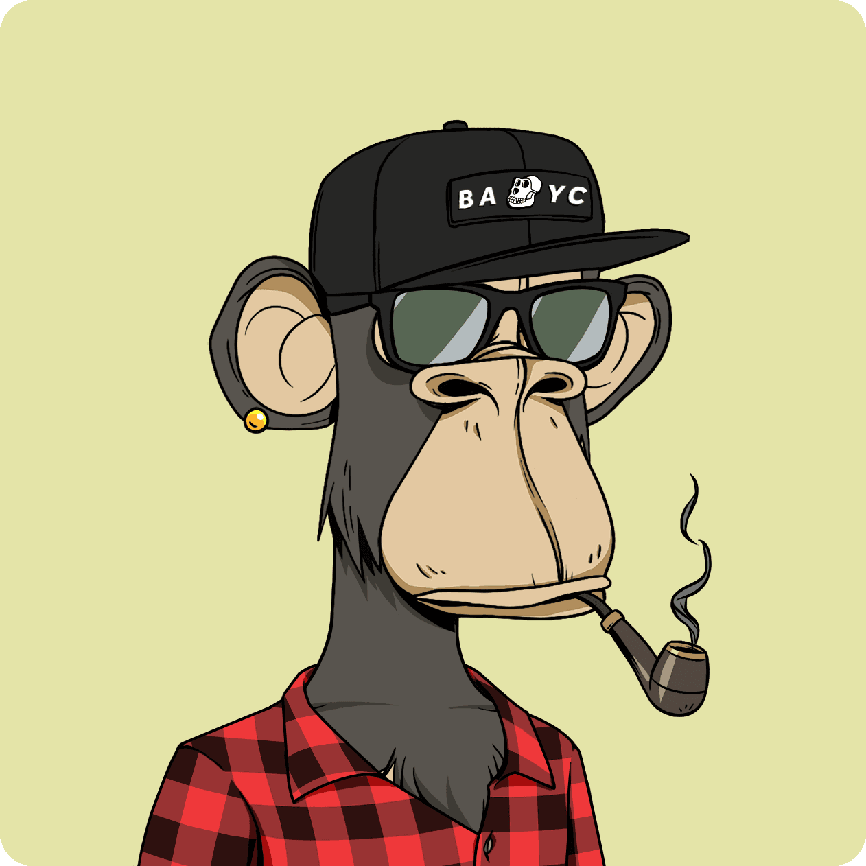 pacey ape #1240