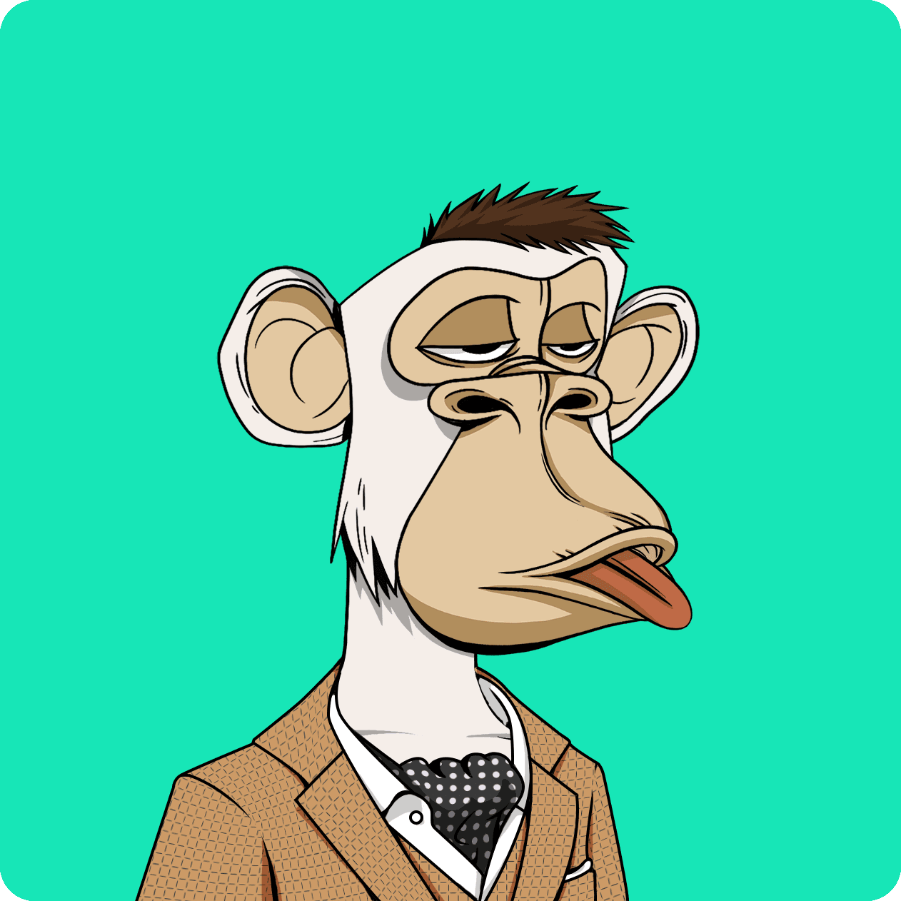 blockshane ape #2667