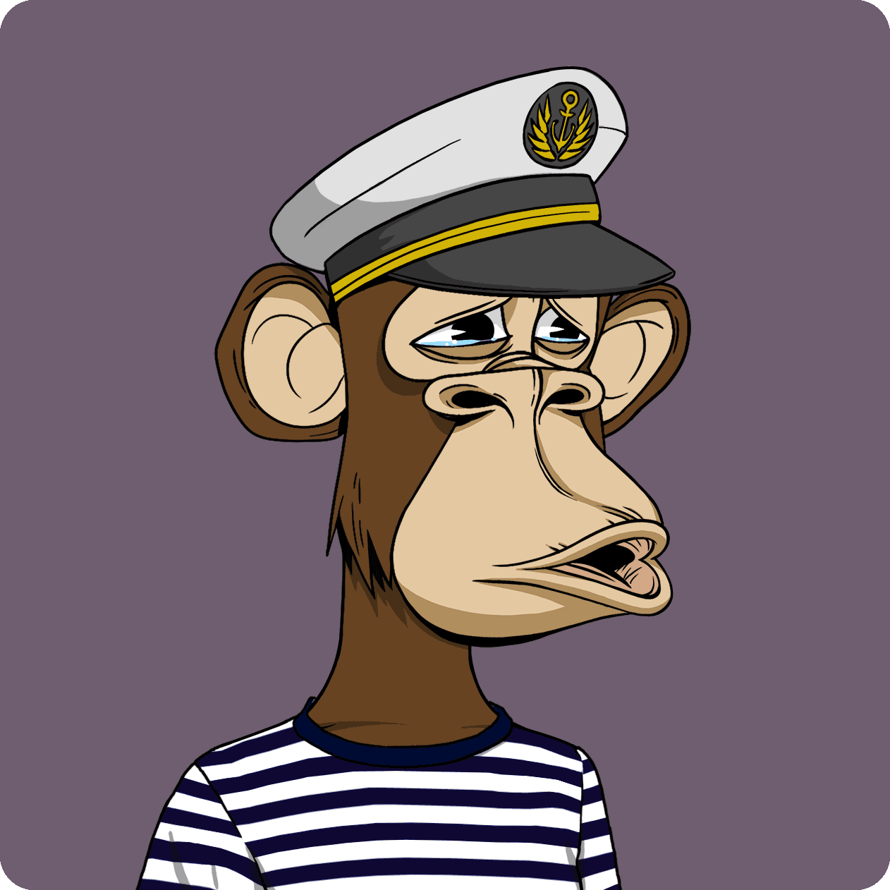 apefourone ape #41