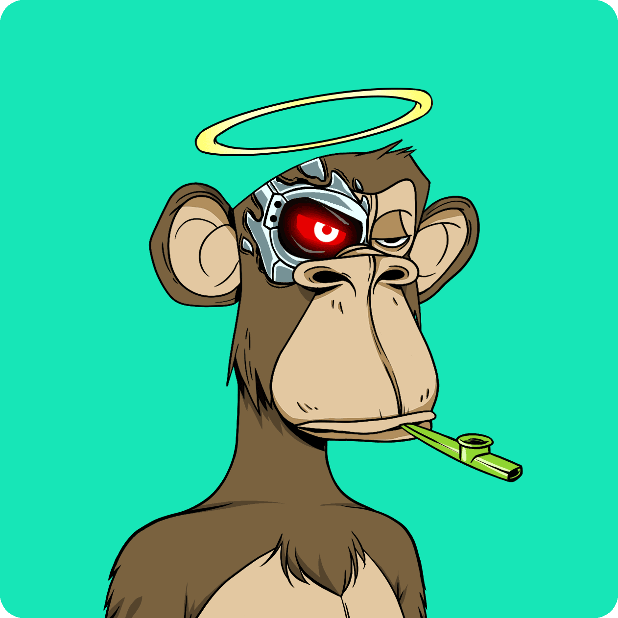 snackpacketh ape #5676