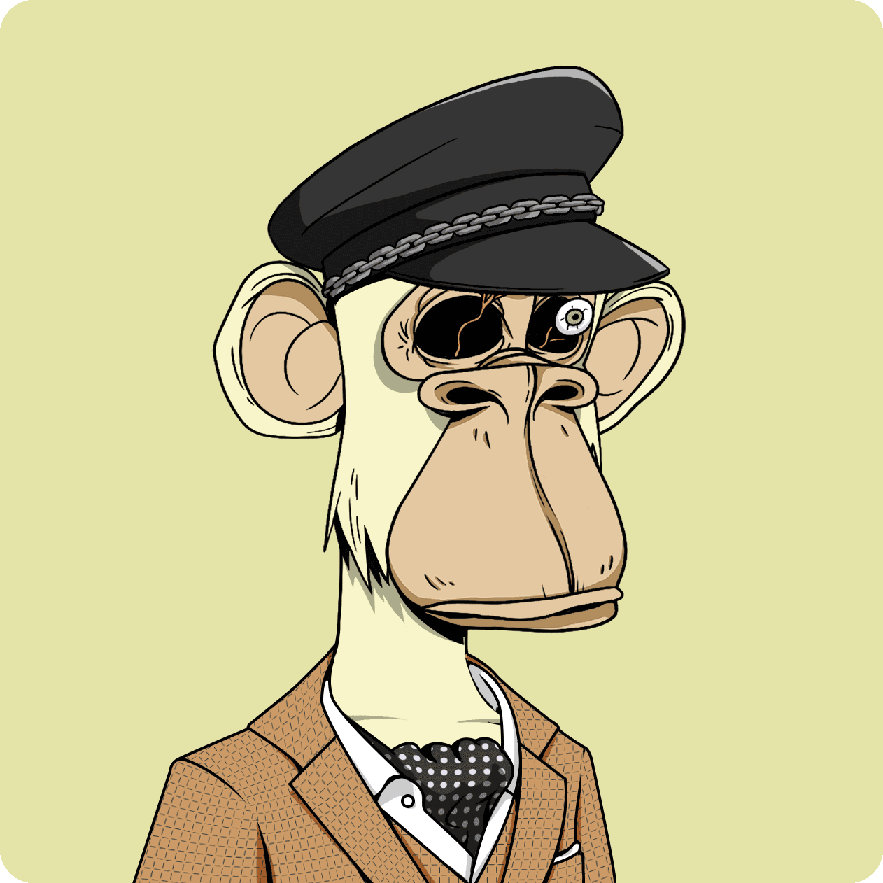 juanfdez ape #6