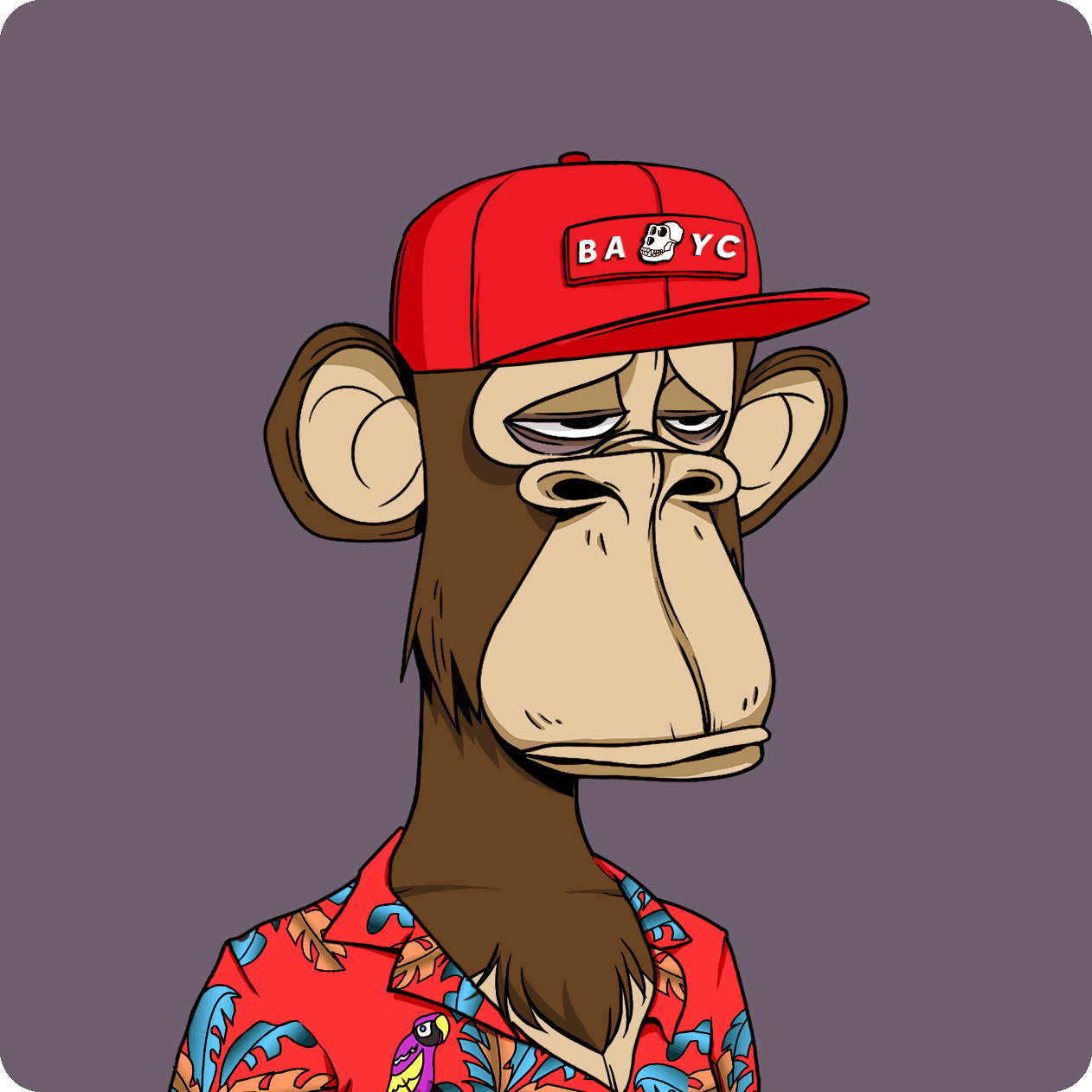 toni ape #7162