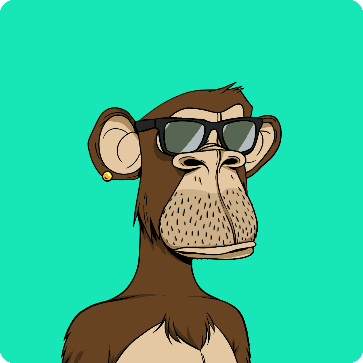 hugo ape #8031