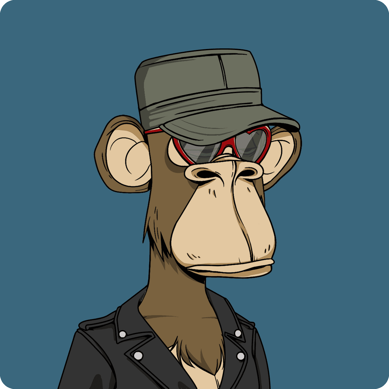 tim ape #8093