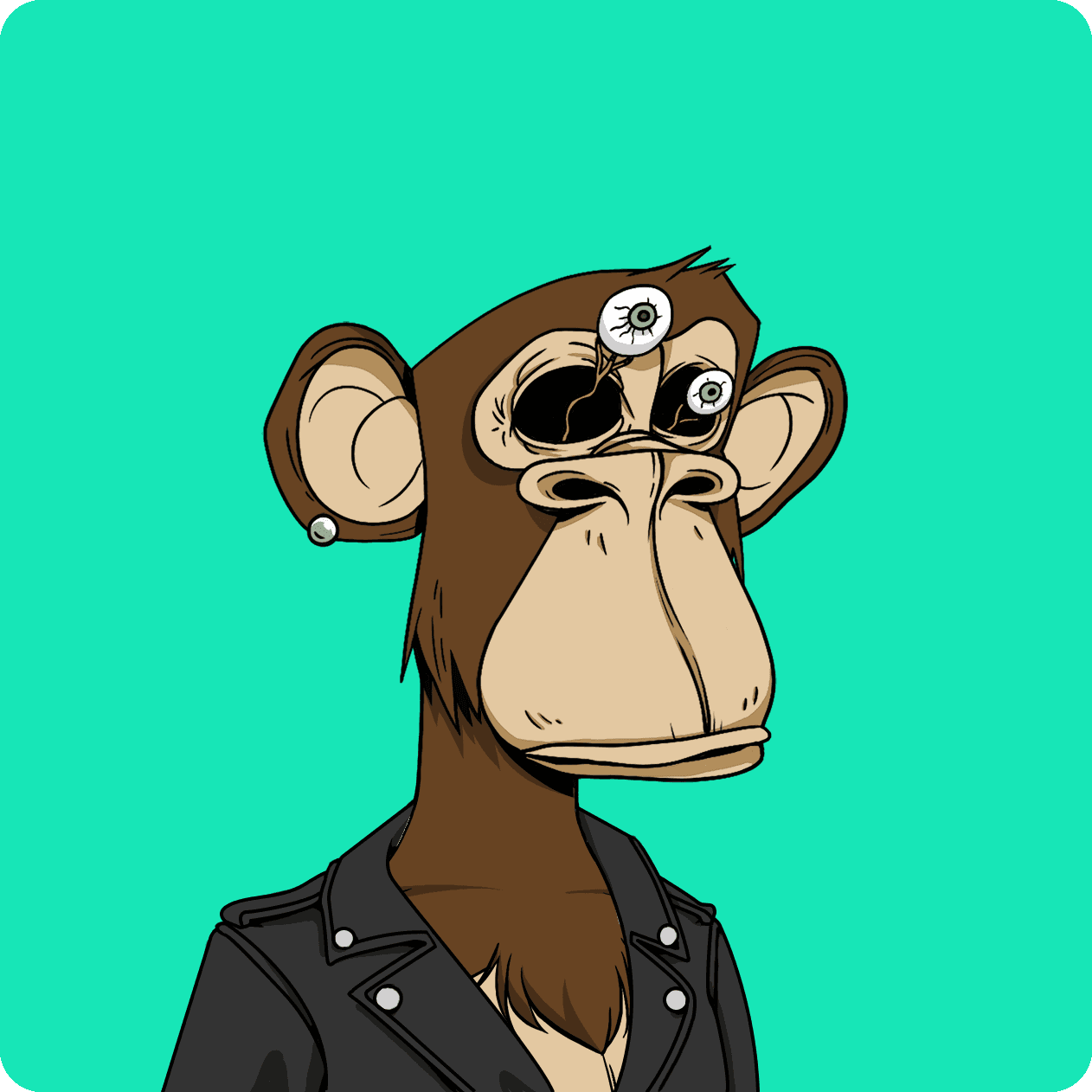 fininati ape #9200