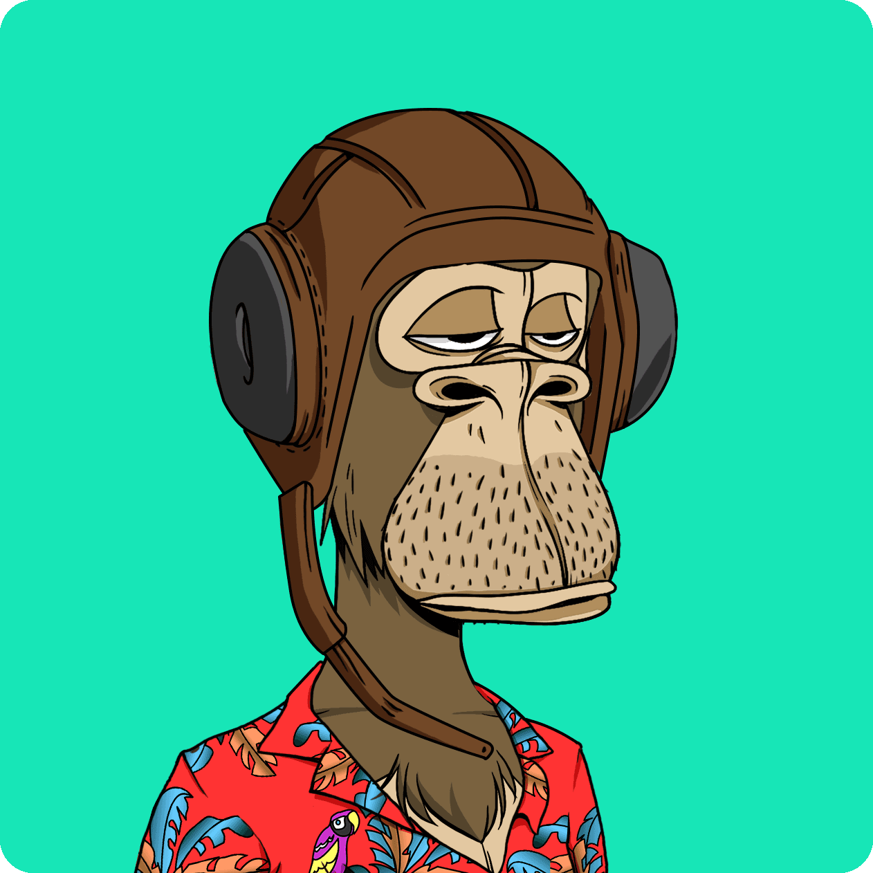 bavibull ape #9558