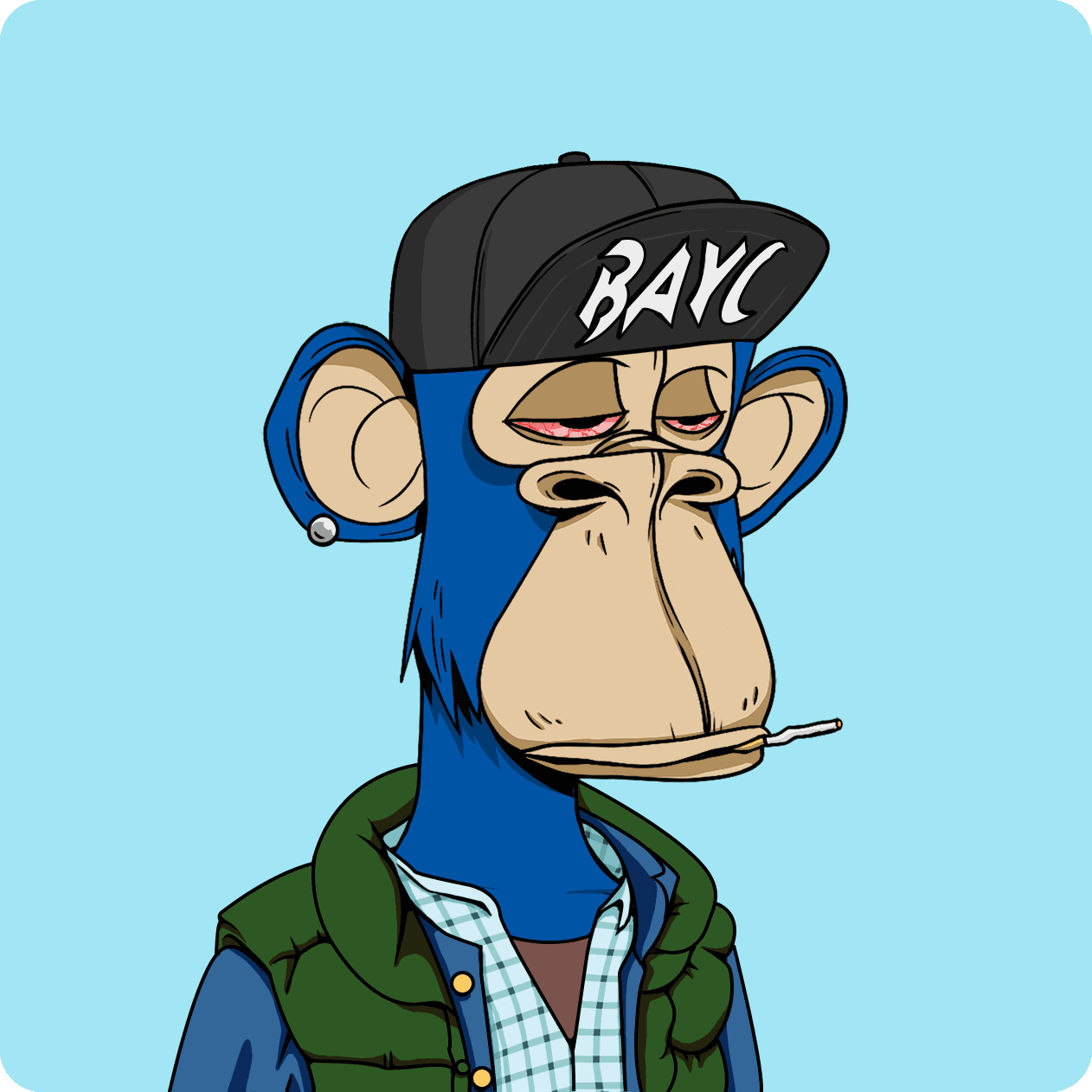BAYC #9673