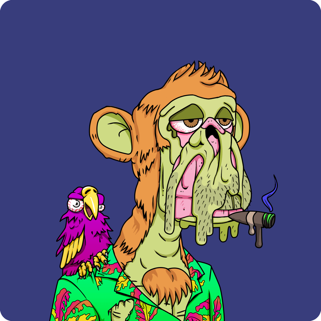unc ape #28470