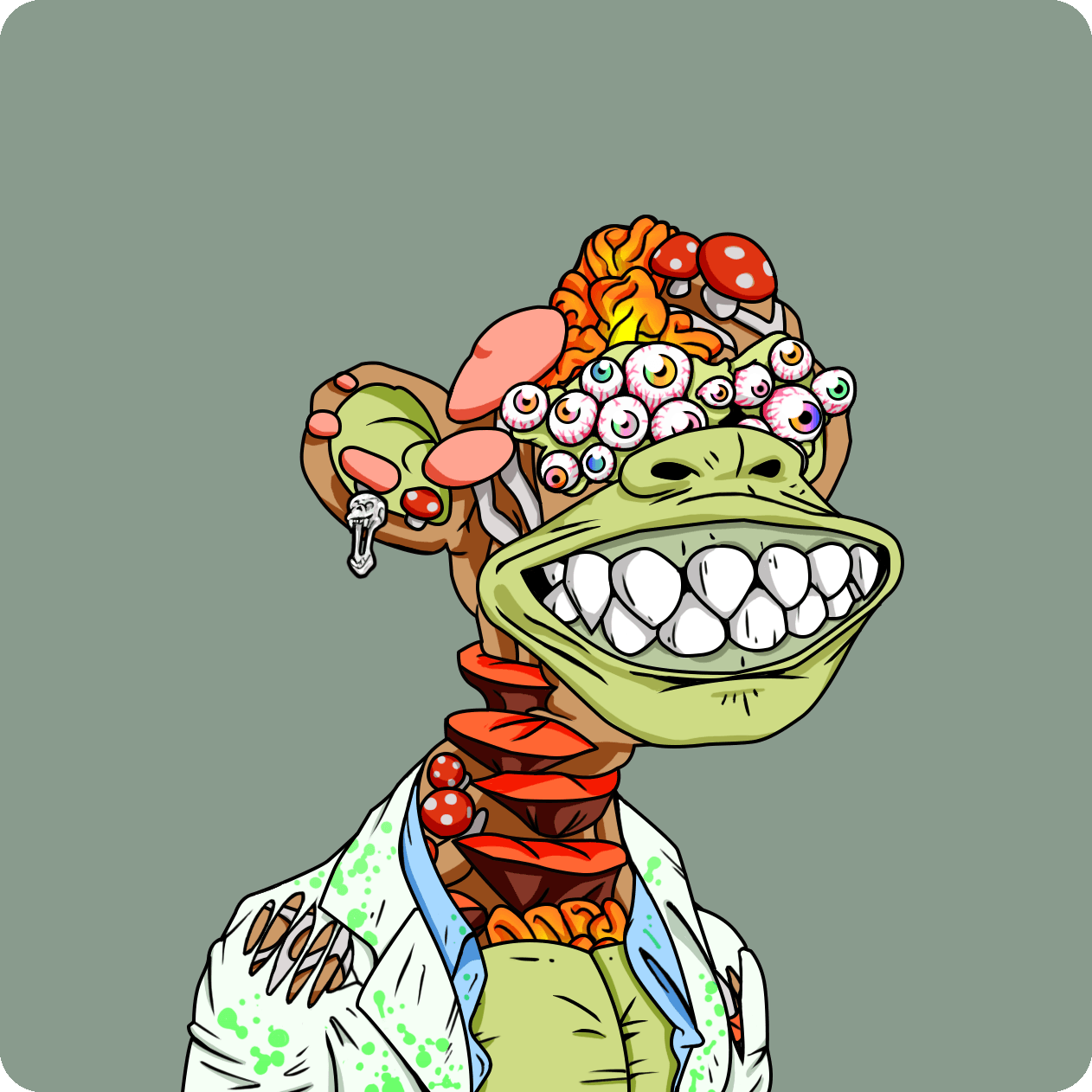 xveys ape #4074
