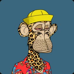 guccheetah