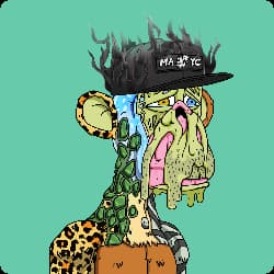boringmerch