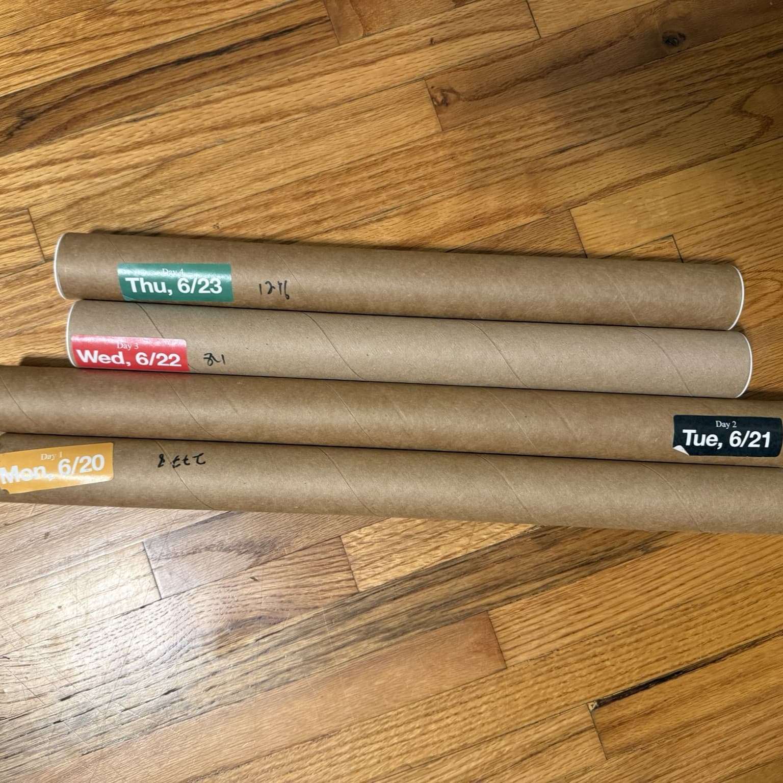2022 Apefest Poster Bundle - All 4 days - NEW