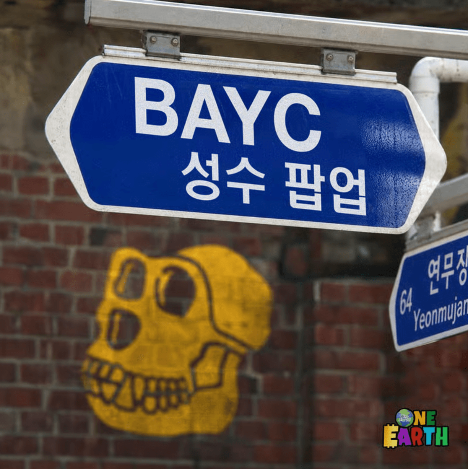 BAYC 성수 브랜드 팝업