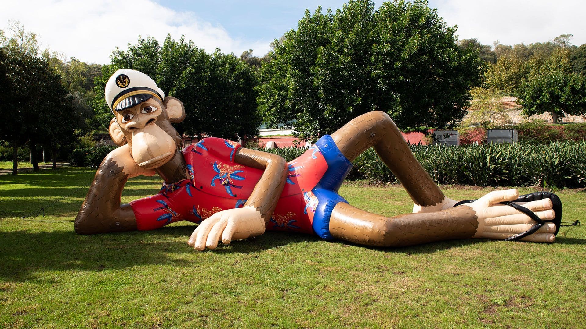 Activation content image