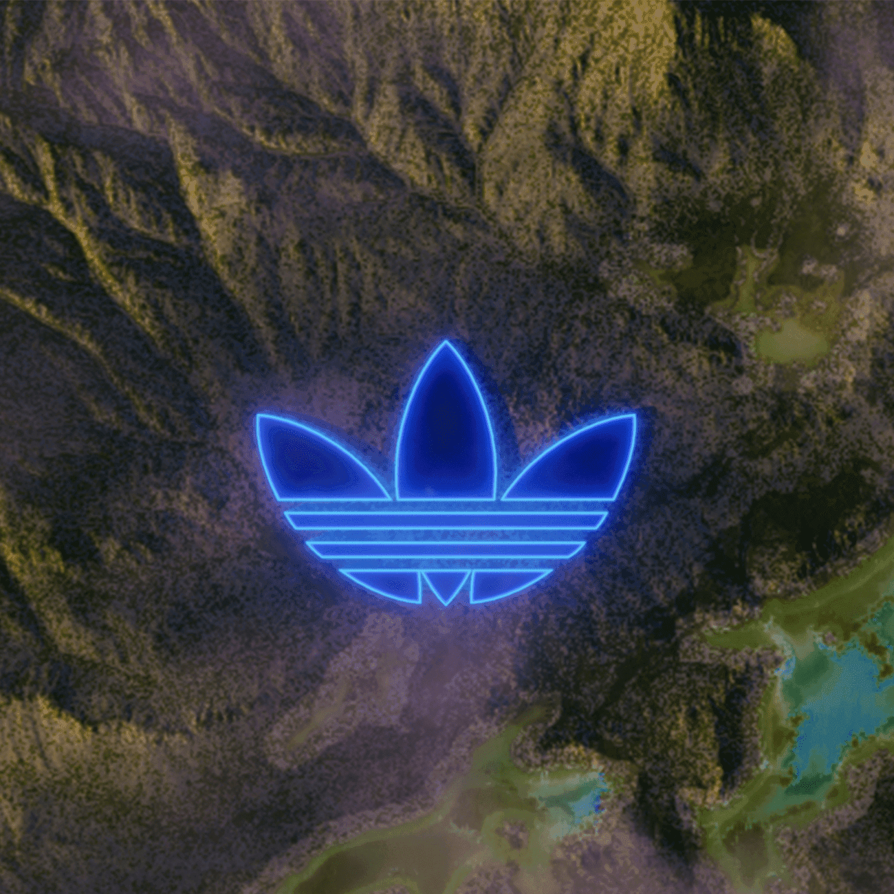 Activation content image